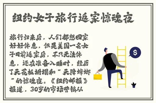 优质rb补偿系统